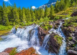 Stany Zjednoczone, Stan Montana, Park Narodowy Glacier, Wodospad Redrock Falls, Rzeka, Drzewa, Kamienie