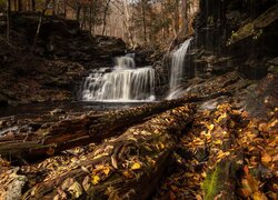 Jesień, Las, Skały, Wodospad, R B Ricketts Falls, Żółte, Liście, Stan Pensylwania, Stany Zjednoczone