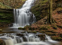 Wodospad Scaleber Force w Parku Narodowym Yorkshire Dales