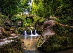 Las, Drzewa, Wodospad Schiessentumpel, Most, Skały, Rzeka, Mullerthal, Mała Szwajcaria, Luksemburg