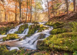 Niemcy, Miasto Harzgerode, Góry Harz, Rzeka Selke, Wodospad Selkefall, Jesień, Las, Omszałe, Kamienie