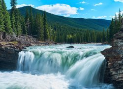 Las, Drzewa, Góry, Rzeka, Sheep River, Wodospad, Sheep River Falls, Alberta, Kanada