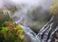 Jesień, Las, Drzewa, Mgła, Rzeka, Biei River, Wodospad, Shirahige Waterfall, Hokkaido, Japonia