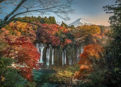 Wodospad Shiraito w japońskim Parku Narodowym Fudżi-Hakone-Izu