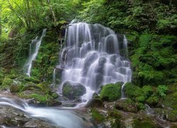 Las, Rzeka, Wodospad, Silbidan Falls, Roślinność, Omszałe, Kamienie, Park Narodowy Jirisan, Korea Południowa