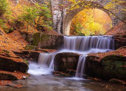 Las, Drzewa, Rzeka, Kaskada, Wodospad, Sitovski Waterfall, Kamienny, Most, Jesień, Opadłe, Liście, Sitowo, Bułgaria