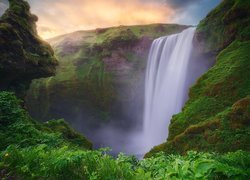 Wodospad Skogafoss, Roślinność, Islandia