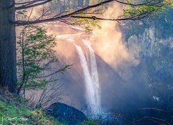 Wodospad Snoqualmie Falls, Skały, Drzewa, Hrabstwo King, Stan Waszyngton, Stany Zjednoczone