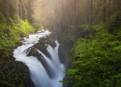 Stany Zjednoczone, Stan Waszyngton, Park Narodowy Olympic, Las, Wodospad Sol Duc Falls, Rzeka, Drzewa, Mgła