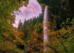 Wodospad, South Falls, Las, Drzewa, Skały, Jesień, Roślinność, Park stanowy Silver Falls, Stan Oregon, Stany Zjednoczone