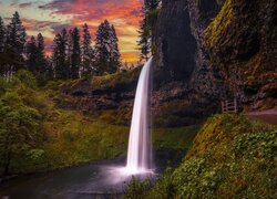 Stany Zjednoczone, Oregon, Park stanowy, Silver Falls State Park, Wodospad, South Falls, Drzewa