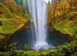 Wodospad South Falls, Las, Drzewa, Jesień, Park stanowy Silver Falls, Oregon, Stany Zjednoczone