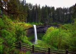 Wodospad South Falls w Parku Stanowym Silver Falls w stanie Oregon