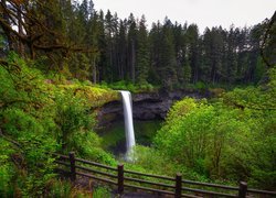 Wodospad, South Falls, Skały, Drzewa, Park stanowy Silver Falls, Stan Oregon, Stany Zjednoczone