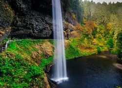 Wodospad South Falls, Las, Drzewa, Skały, Jezioro, Roślinność, Park stanowy Silver Falls, Stan Oregon, Stany Zjednoczone