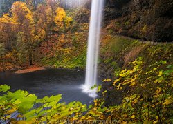 Wodospad South Falls, Las, Drzewa, Jesień, Punkt widokowy, Park miejski Silver Falls, Oregon, Stany Zjednoczone