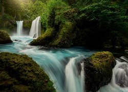 Stany Zjednoczone, Stan Waszyngton, Las Narodowy Gifford Pinchot, Drzewa, Rzeka Little White Salmon River, Wodospad Spirit Falls, Omszałe, Kamienie, Skały