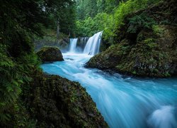 Stany Zjednoczone, Stan Waszyngton, Hrabstwo Skamania, Rezerwat przyrody Columbia River Gorge, Las, Rzeka Little White Salmon River,  Wodospad Spirit Falls