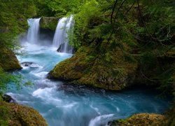 Stany Zjednoczone, Stan Waszyngton, Las Narodowy Gifford Pinchot, Drzewa, Rzeka, Little White Salmon River, Wodospad, Spirit Falls, Omszałe, Kamienie, Skały