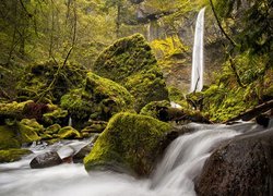 Wodospad, Springtime Elowah Falls, Rzeka, McCord Creek, Rezerwat Columbia River Gorge, Omszone, Kamienie, Głazy, Oregon, Stany Zjednoczone