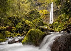 Wodospad, Elowah Falls, Rzeka, McCord Creek, Rezerwat Columbia River Gorge, Omszone, Kamienie, Głazy, Oregon, Stany Zjednoczone