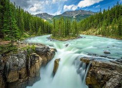 Drzewa, Skały, Wodospad, Sunwapta Falls, Rzeka, Sunwapta, Park Narodowy Jasper, Alberta, Kanada