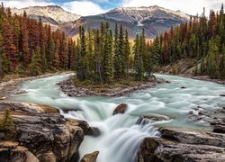 Wodospad Sunwapta Falls, Rzeka Sunwapta, Park Narodowy Jasper, Skały, Drzewa, Alberta, Kanada