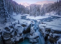 Wodospad Sunwapta Falls, Rzeka Sunwapta, Park Narodowy Jasper, Zima, Góry, Drzewa, Prowincja Alberta, Kanada