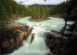 Wodospad Sunwapta Falls, Rzeka Sunwapta, Park Narodowy Jasper, Skały, Drzewa, Prowincja Alberta, Kanada