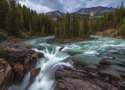 Rzeka Sunwapta, Wodospad Sunwapta, Park Narodowy Jasper, Prowincja Alberta, Kanada, Drzewa, Góry