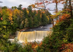 Wodospad, Tahquamenon Falls, Root Beer Falls, Las, Drzewa, Rzeka Tahquamenon, Jesień, Miejscowość Paradise, Stan Michigan, Stany Zjednoczone
