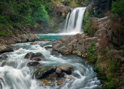 Wodospad Tawhai Falls w Nowej Zelandii