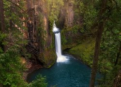 Stany Zjednoczone, Stan Oregon, Park Narodowy Jeziora Kraterowego, Wodospad, Toketee Falls, Skały, Roślinność