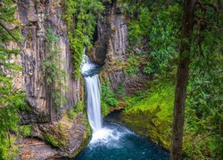 Las, Zielone, Drzewa, Rośliny, Skały, Wodospad Toketee, Park Narodowy Jeziora Kraterowego, Oregon, Stany Zjednoczone