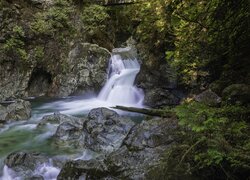 Wodospad, Twin Falls, Rzeka, Skały, Rośliny, Kanada, Park Narodowy Yoho