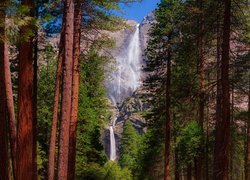 Park Narodowy Yosemite, Wodospad Upper Yosemite, Drzewa, Kalifornia, Stany Zjednoczone