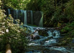 Wodospad Virginia Hawkins Falls, Las, Rzeka, Kamienie, Stan Karolina Północna, Stany Zjednoczone