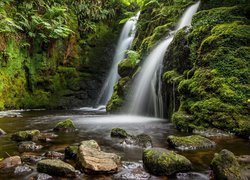 Wodospad w angielskim Parku Narodowym Dartmoor