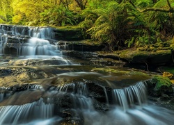 Wodospad w australijskim Parku Narodowym Gór Błękitnych