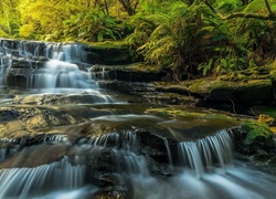 Australia, Park Narodowy Gór Błękitnych, Wodospad, Kaskada, Las