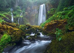 Wodospad, Rzeka, Omszone, Kamienie, Głazy, Skały, Las, Gifford Pinchot National Forest, Oregon, Stany Zjednoczone