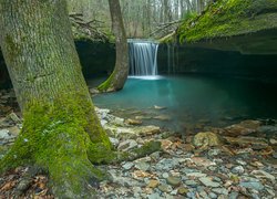 Wodospad w lesie wpadający do kamienistej rzeki