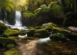 Australia, Tasmania, Park Narodowy Mount Field, Wodospad, Kamienie, Roślinność