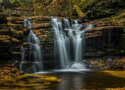 Park stanowy Ricketts Glen State Park, Wodospad, Skały, Las, Stan Pensylwania, Stany Zjednoczone