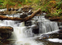 Wodospad w Ricketts Glen State Park w Pensylwanii