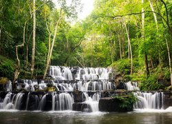 Wodospad Sam Lan Waterfall, Park Narodowy Namtok Sam Lan, Prowincja Saraburi, Tajlandia, Drzewa, Las