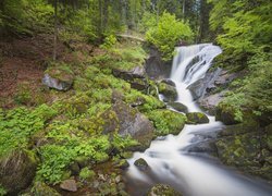 Las, Drzewa, Wodospad w Tribergu, Kamienie, Skały, Triberg, Niemcy