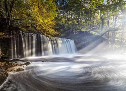 Walia, Park Narodowy Brecon Beacons, Las, Wodospad, Poranek