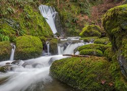 Wodospad w wąwozie Dollar Glen w hrabstwie Clackmannanshire w Szkocji