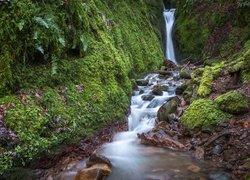 Wodospad w wąwozie Dollar Glen w Szkocji